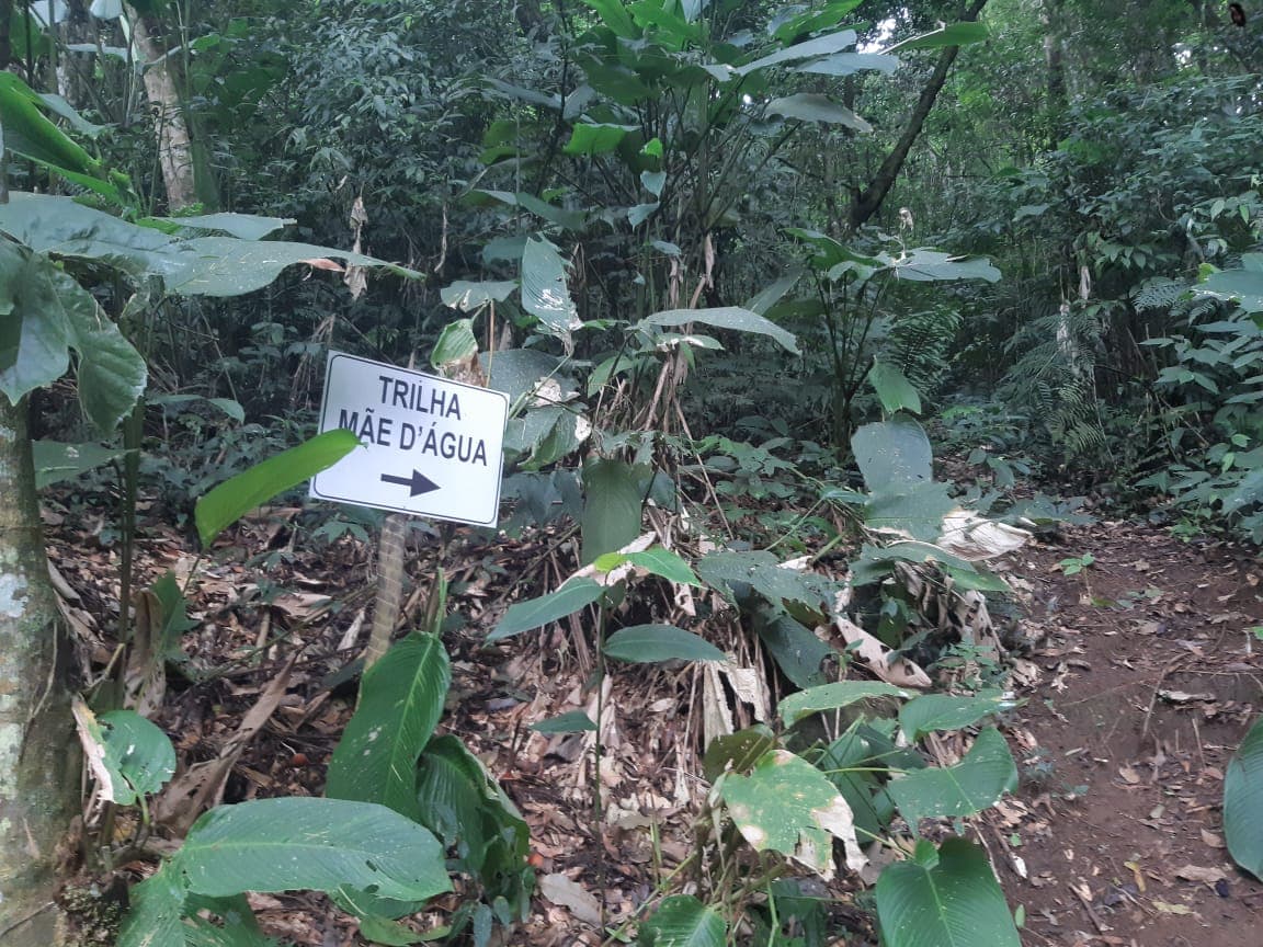Pedra Mãe D'água - PARNASO - foto 4