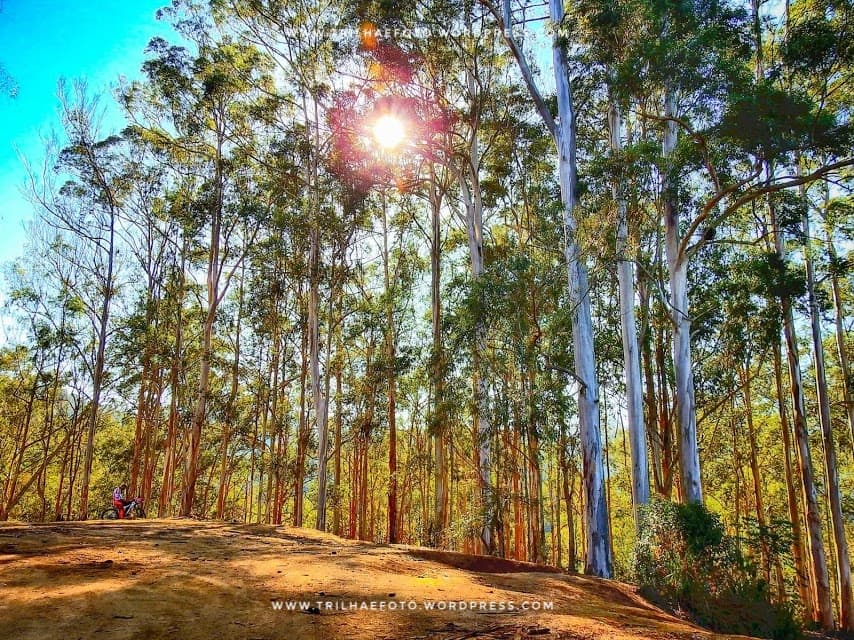 Vale da Lua